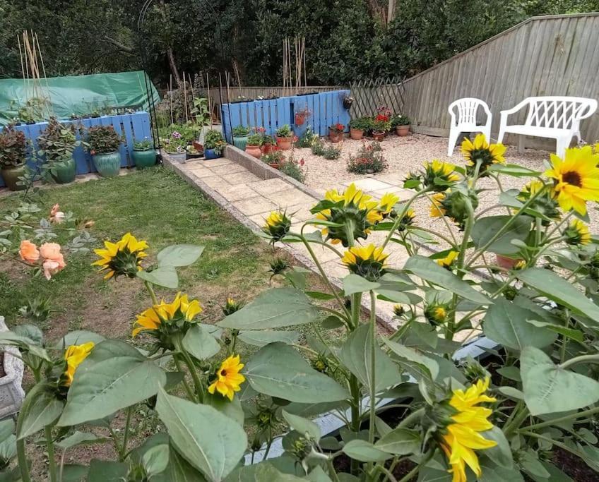House With Free Parking And Large Garden Villa Wyke Regis ภายนอก รูปภาพ